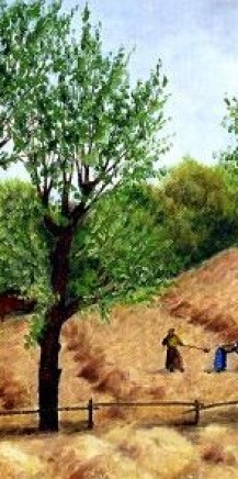 Hasan Köyü’nde hasat (2000)